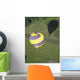 Balloon From Above Wall Decal