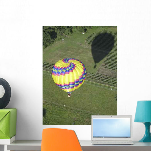 Balloon From Above Wall Decal