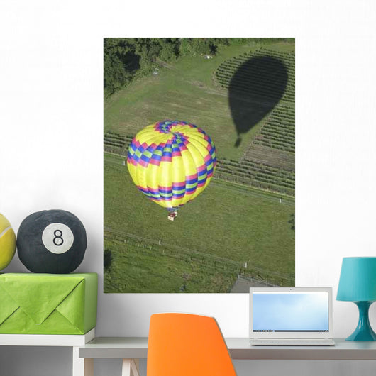 Balloon From Above Wall Decal