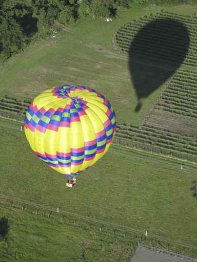 Balloon From Above Wall Decal