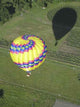 Balloon From Above Wall Decal