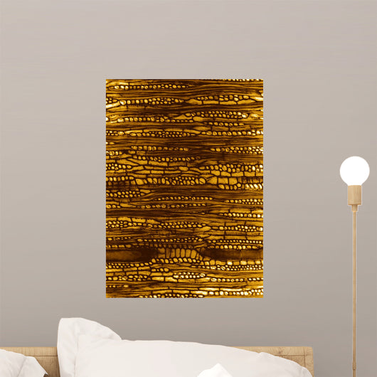 Microscopic Wood Section Sample Wall Mural