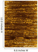 Microscopic Wood Section Sample Wall Mural