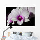 Purple and White Orchids
