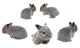 Baby Bunnies Wall Decal
