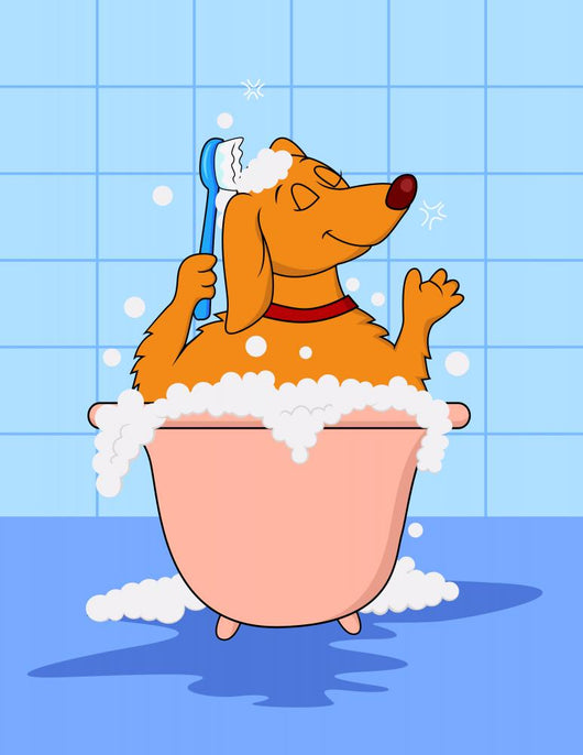 Puppy Bath