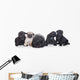 Pug Puppies White Wall Decal