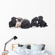 Pug Puppies White Wall Decal