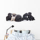 Pug Puppies White Wall Decal