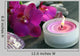Orchidenblte Mit Kerze
