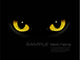 Cat Eyes Dark Night