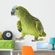 Blue fronted Amazon parrot on white background Wall Decal