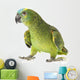 Blue fronted Amazon parrot on white background Wall Decal