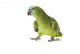 Blue fronted Amazon parrot on white background Wall Decal