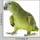 Blue fronted Amazon parrot on white background Wall Decal