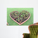 Plants Are Grown Heart Wall Mural