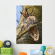 Sleeping Long-eared Owl Wall Mural