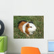 Pet Murals - Guinea pig Wall Mural