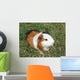 Pet Murals - Guinea pig Wall Mural