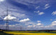 Rapsfeld Wall Decal