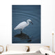 Egret Aka Heron Water Wall Mural