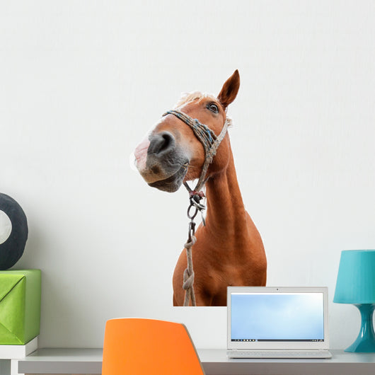 Horse Portrait