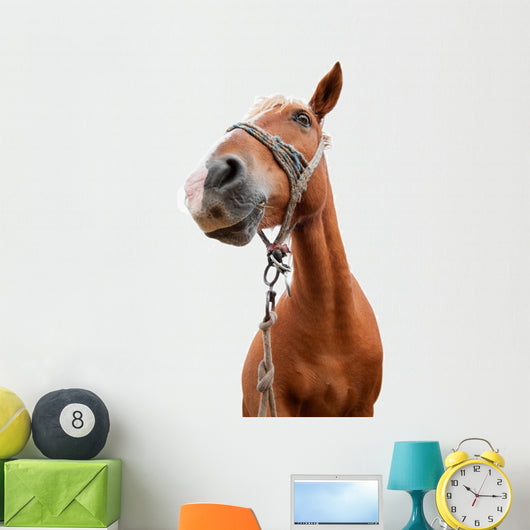 Horse Portrait