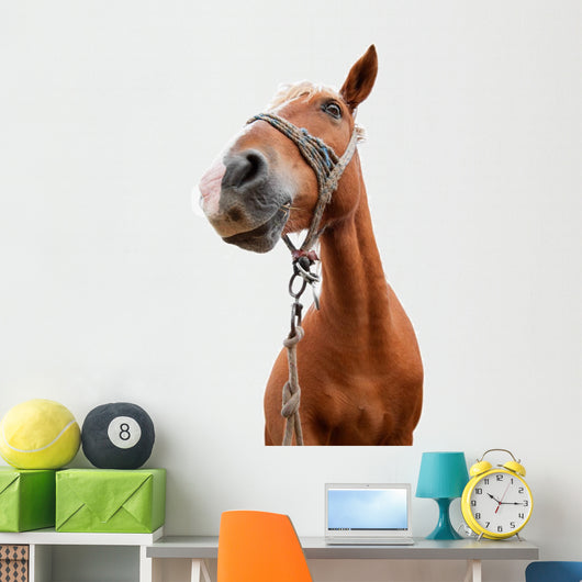Horse Portrait