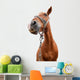 Horse Portrait