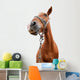 Horse Portrait