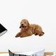 Poodle Wall Decal