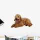 Poodle Wall Decal