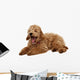 Poodle Wall Decal