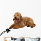 Poodle Wall Decal