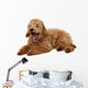 Poodle Wall Decal