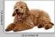 Poodle Wall Decal