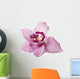 Pink Orchid on a White Background Wall Decal
