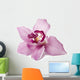 Pink Orchid on a White Background Wall Decal