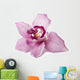 Pink Orchid on a White Background Wall Decal