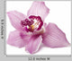 Pink Orchid on a White Background Wall Decal