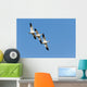 Snow Goose Wall Mural