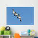 Snow Goose Wall Mural