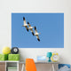 Snow Goose Wall Mural