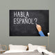 Spanish Learning Language
