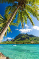 Palm Trees on Shoreline of Ocean at Moorea Wall Mural