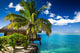 Tropical bungalow and palm tree next to amazing lagoon Wall Mural
