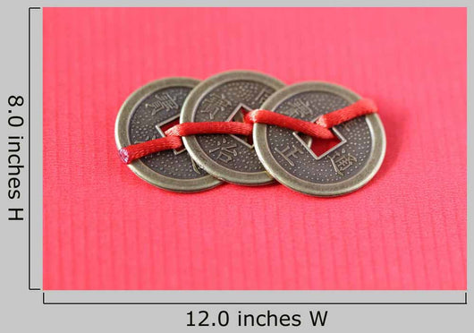 Fengshui chinese coins Wall Mural
