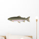 Trout Wall Decal