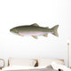 Trout Wall Decal