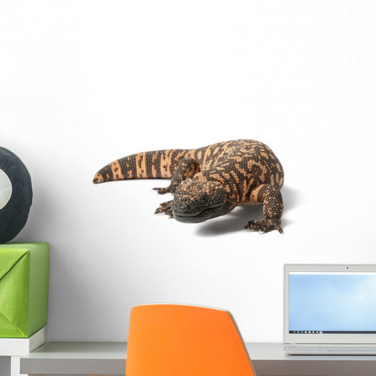 Gila Monster Heloderma Suspectum Wall Decal